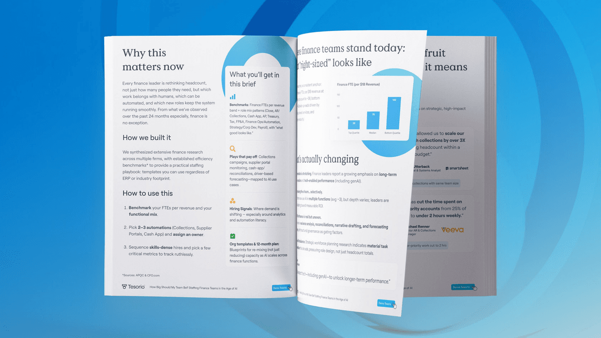 Tesorio AR Team Sizing Guide